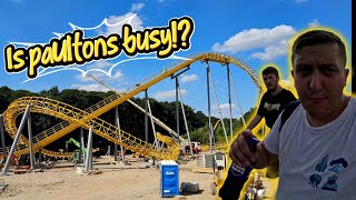 Paulton's busy! WHAT!