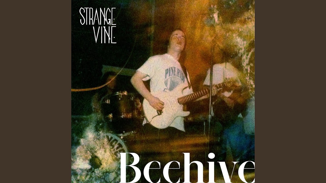 Watch Beehive on YouTube Watch Beehive on YouTube