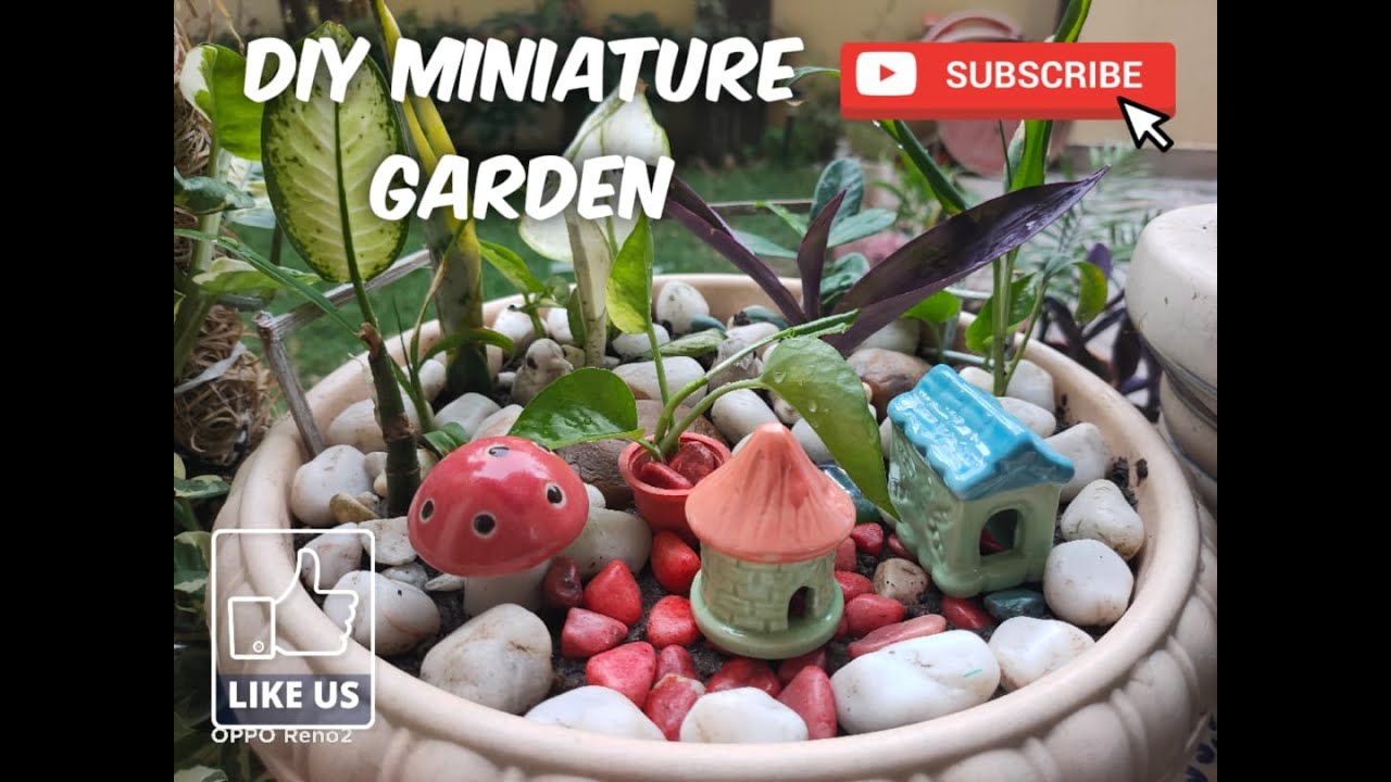 Colorful Miniature Garden (DIY) With Succulent Plants