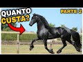 5 Raças De Cavalos Mais Caras Do Mundo - PARTE 2