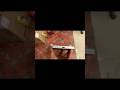 One Plus Ace 5 Side Bodar #smartphone #viral