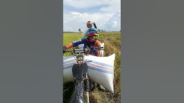 motor taksi gabah#kurir gabah#ojek gabah#gas sampai jatuh