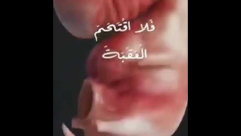 أَلَمْ نَجْعَل لَّهُ عَيْنَيْنِ وَلِسَانًا وَشَفَتَيْنِ  وَهَدَيْنَـٰهُ ٱلنَّجْدَيْنِ#قرآن #تلاوة