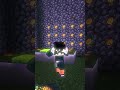 SONG : Toma Abacaxi x Maldita ex DJ SILAS FLW #edit #minecraft