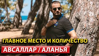 Недвижимость в Алании от застройщика / Район Авсаллар / Квартира в Алании с видом на море