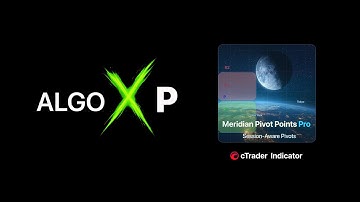 Meridian Pivot Points Professional Indicator