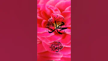 المولد النبي صلى الله عليه وسلم 