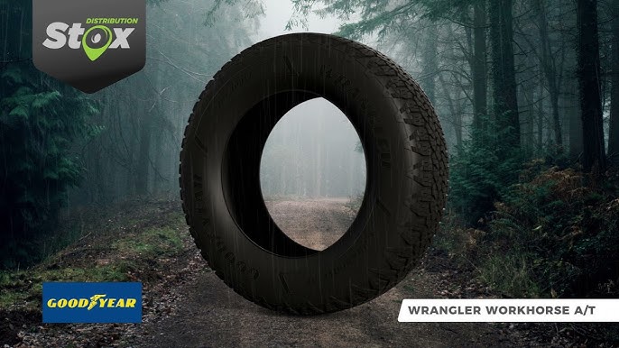 😎EXCLUSIVO: Novo PNEU da Goodyear feito com Óleo de Soja (Veja TESTE e  benefícios do Workhorse AT) 