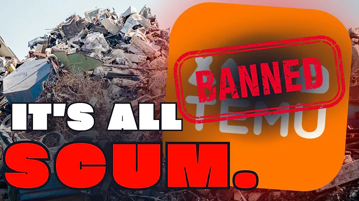 TEMU SCUM EXPOSED?! 🤯 The Dark Truth Behind Those INSANE Prices! 😱