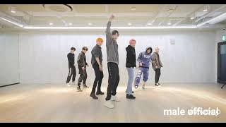 EXO - 'Don't fight The feeling' Dance Practice