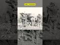 True War Story - WW2 Side Effect #ww2 #dday #warfare #warshorts #militaryhistory #war #stories