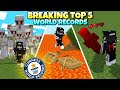 The 5 Greatest World Records In Minecraft History!