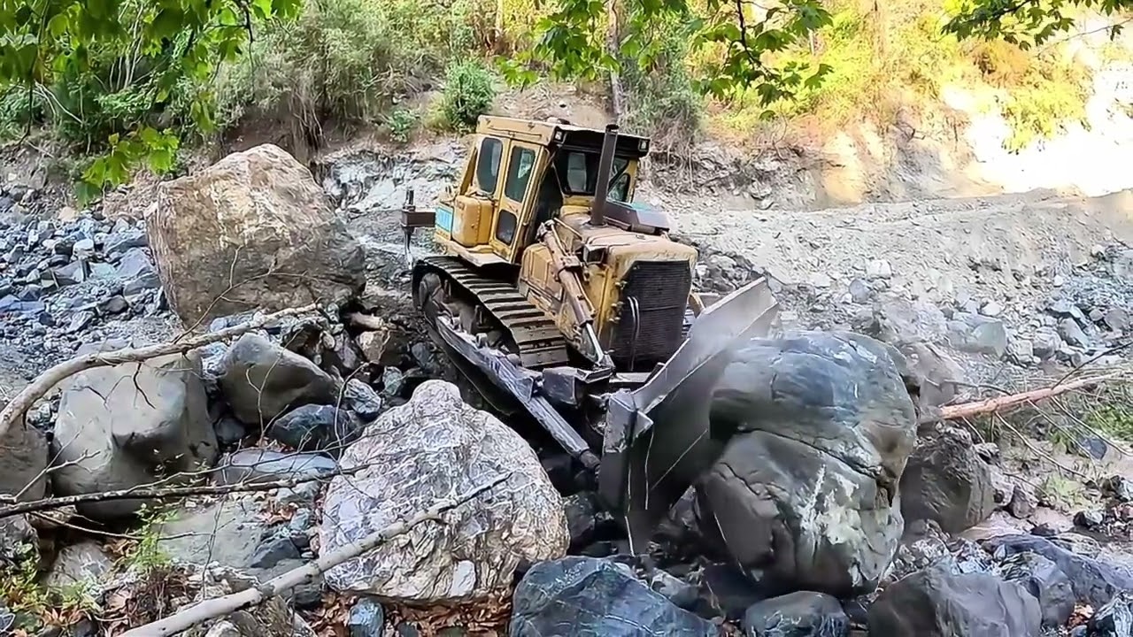 Бульдозер Caterpillar расчищает лесную дорогу. Пошаговый процесс. 