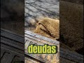 Las deudas llegaron, pero también la mentalidad de salir adelante 💸💪#parati #foryou #humor #lawncare
