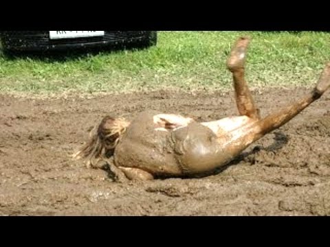 Best Fails | Funny Videos 2016