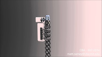 Robosomal Robotics: Millikoala