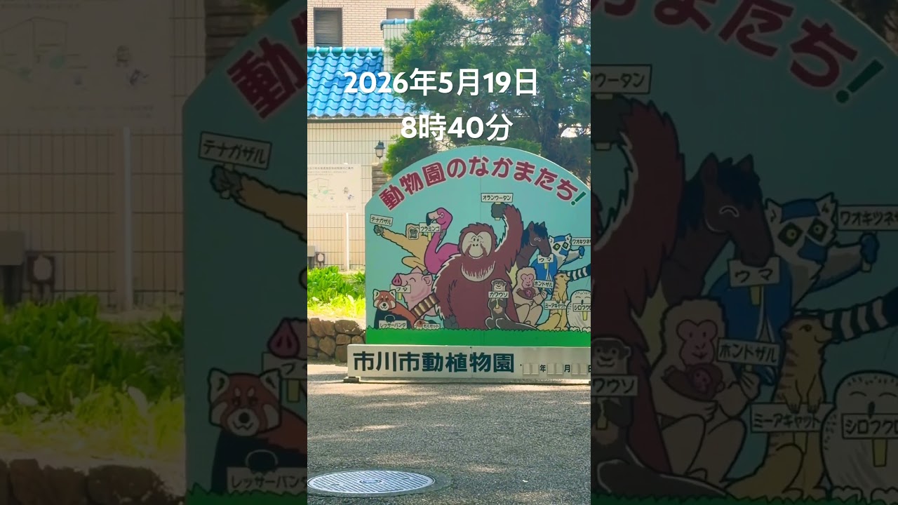 2026年5月19日8時40分市川市動植物園