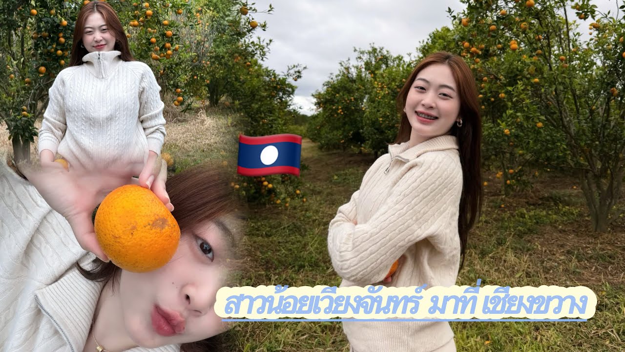 เห็นสวนปลูกส้มครั้งแรก อที่เชียงขวาง อริสากินคาต้นเลย🇱🇦| ອາລິສາເຫັນສວນປູກໝາກກ້ຽງຄັ້ງແລກ ຢູ່ຊຽງຂວາງ🇱🇦