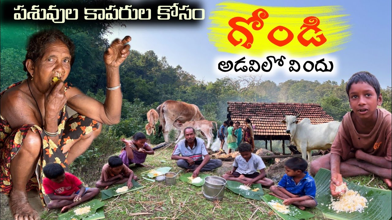గోండి - పశువుల కాపరుల కోసం అడవిలో విందు / Cattle in forest #feast with cattle @TribalMirror
