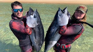 Spearfishing Bluefin Tuna + Monster Crayfish  4K