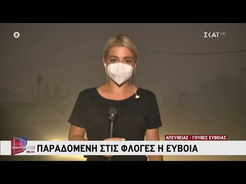 Εύβοια: Μάχη με τις αναζωπυρώσεις σε Γούβες και Αρτεμίσιο | Πρωινή ενημέρωση | 09/08/2021