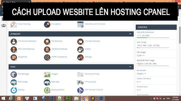 Cách kiểm tra và mua Tên Miền (Domain) - Hosting để Upload Website WordPress lên Cpanel