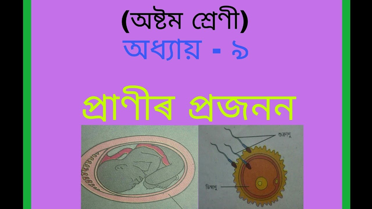 Bhaskar Jyoti@প্ৰাণীৰ প্ৰজনন ( অষ্টম শ্ৰেণীৰ বিজ্ঞান )৷৷ প্ৰথম খণ্ড ৷৷Reproduction in Animals Class8