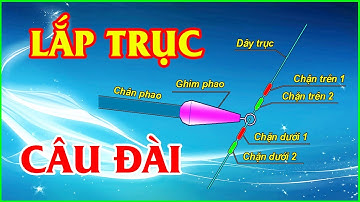 ✅ LÀM THẾ NÀO ĐỂ LẮP ĐẶT MỘT TRỤC CÂU ĐÀI CHUẨN NHẤT | Câu Cá Sông Quê