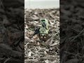2nd Star Wars outside photos #starwars #lego
