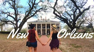 New Orleans Top Tours: Oak Alley Plantation/ Swamp Tour/ French Quarter | 4K