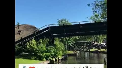 حالات واتس اب ، سعد الغامدي سورة الكهف نور ما بين الجمعتين ♥️🎙️