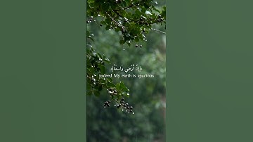 القارئ عبدالرحمن مسعد #foryou  #explore #quran #fyp #اكسبلور #لايك #راحة_نفسية #explore