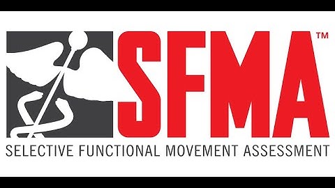 Selective Functional Movement Assessment (SFMA) Top Tier | Synergy Chiropractic & Bodywork Austin