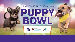 DEN Puppy Bowl 2023