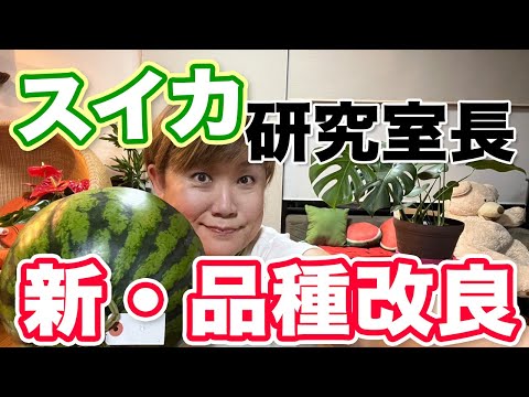 スイカ研究室長、山田邦子からのご報告！