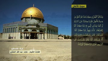 عارف العشي سورة الأنفال