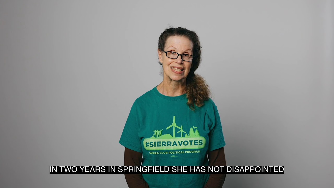 Vote Anne Stava-Murray for State Rep 2020 - Constituent Voices