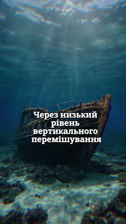 Цікавий факт про Чорне море №5 #факти #facts #наука #море - YouTube