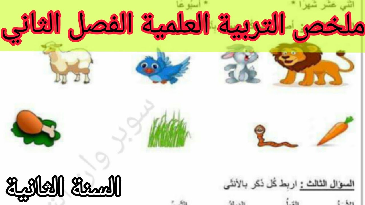 ملخص مادة التربية العلمية الفصل الثاني السنة الثانية