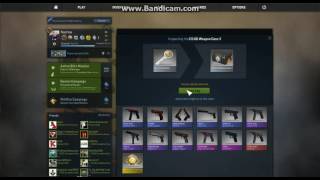 Opening weapon case 3
