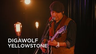 Video thumbnail of "Digawolf | Yellowstone | First Play Live"