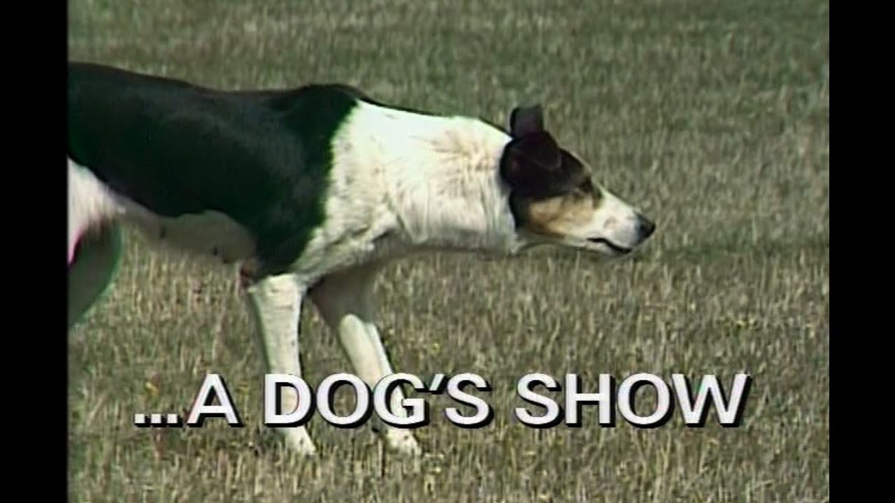 A Dog's Show, programme 14 1989