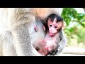 Newborn Baby Pushing Mother Emila Seems Want To Go Out And Play