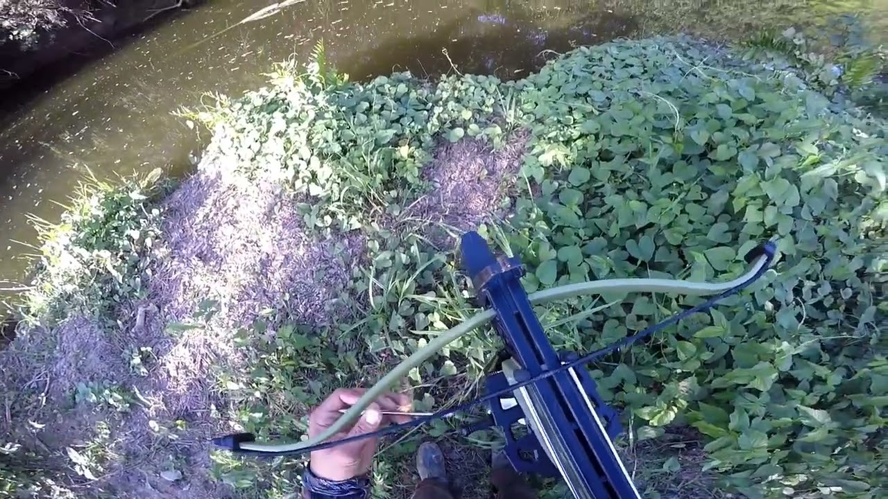 Pesca com balestra! No início é complicado mesmo 😅, porém ninguém mostra a realidade.