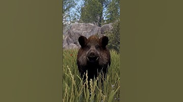 НОВОЕ ДОМАШНЕЕ ЖИВОТНОЕ КОРОВА СКОРО В  РАСТ \ RUST