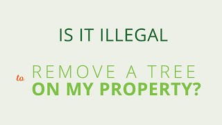 Is it illegal to remove a tree on my own property?