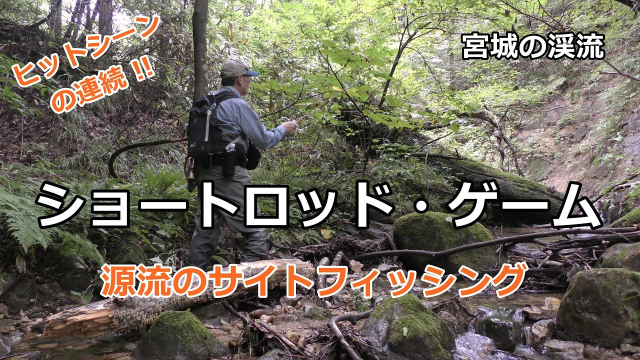 ショートロッドゲーム / 源流のサイトフィッシング / 宮城の渓流 / みちのく釣りの旅  ﾌﾗｲﾌｨｯｼﾝｸﾞ渓流釣り(4K) fly fishing