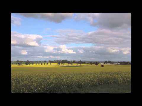 Sun, Clouds and a Canola Field