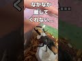 激痛！絶対に挟まれたらヤバいクワガタに挟まれたらこうなった