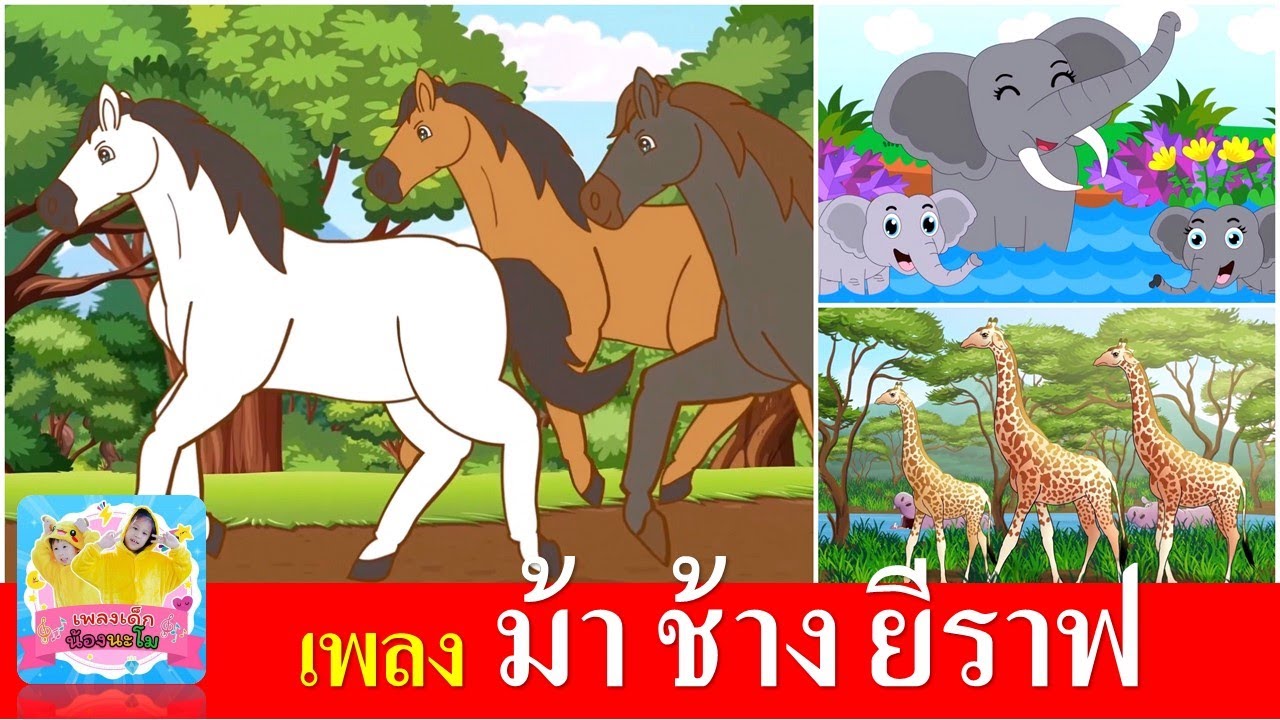 เพลงเด็กอนุบาล ม้า ช้าง ยีราฟ | ม้าวิ่งกับกับ | ช้างชัางช้าง | ยีราฟคอยาว